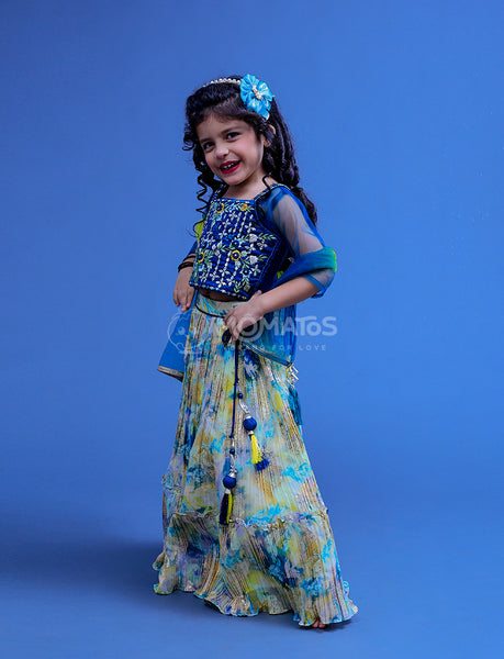 Blue Choli Set For Girl - Hover Image