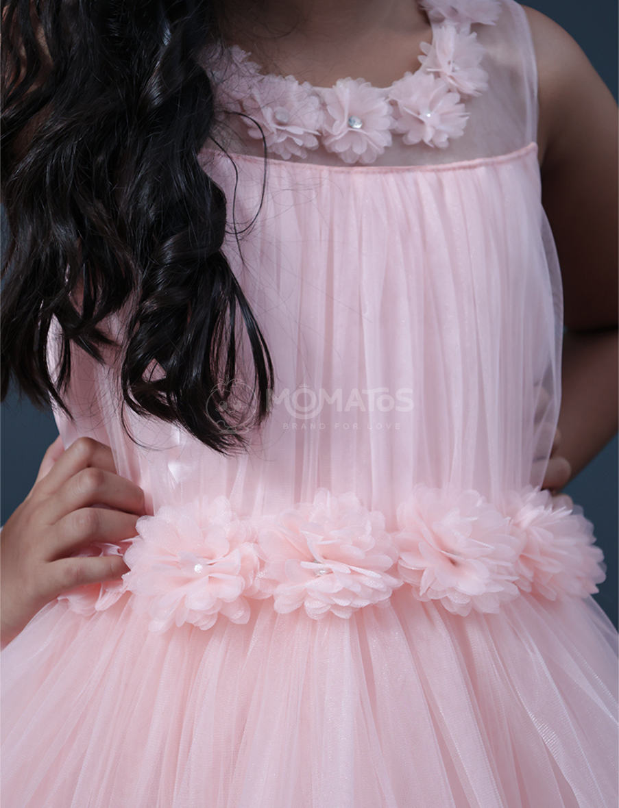 Peach Party Wear Gown