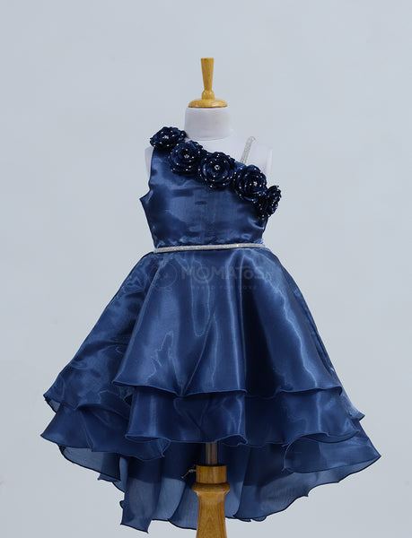 Stylish Blue Bordered flower Neck Frock - Hover Image